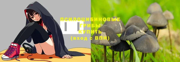 стаф Каменногорск