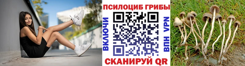 наркотики  Курган  Псилоцибиновые грибы Magic Shrooms 