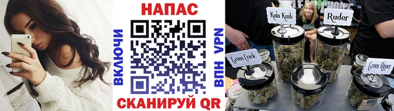 где можно купить   Курган  Конопля сатива 